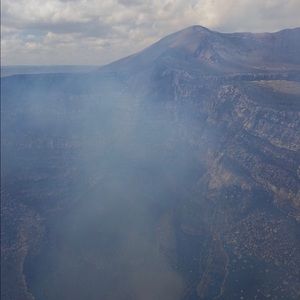 Meet your Posher, Dillon